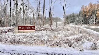 1 Trail Heights, Ellicottville, NY 14731