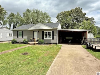 2040 Greenview Ave, Metropolis, IL 62960
