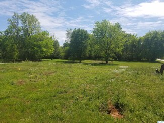 826 Sewell Rd, Trinity, AL 35673
