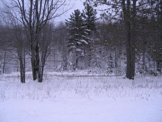 10846 N Old Us-27, Frederic, MI 49733
