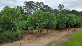 TBD Farm To Market 1486, Richards, TX 77873