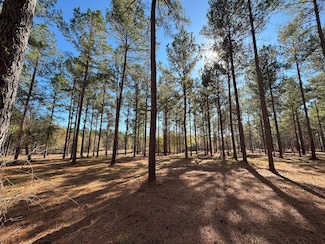 0 Turman Rd, Edison, GA 39846