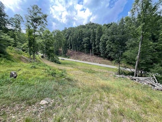 TBD Walker Fork Rd, Copen, WV 26615