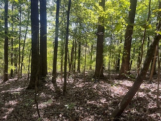 0 Kentucky 69 Unit LotWP002 21818606, Centertown, KY 42328