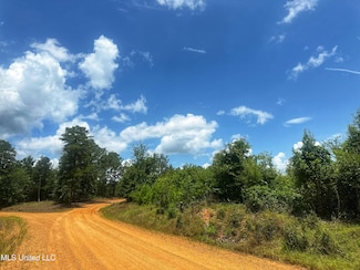 0 Attala Road 5001 Unit 4117094, Kosciusko, MS 39090