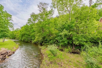 51 Bears Trail, Bastian, VA 24314