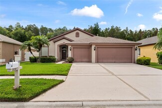 2118 Rensselaer Dr, Wesley Chapel, FL 33543