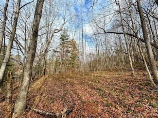 LOT 8 Azalea Way, Saluda, NC 28773