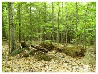0 Loon Point Rd Unit 4344419, Parsonsfield, ME 04047