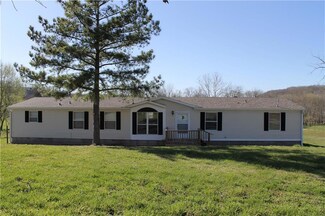1735 Buzzard Glory Rd, Washburn, MO 65772