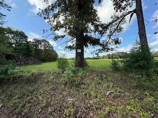 Tbd Cr 4194 Unit Tract 7, Henderson, TX 75654