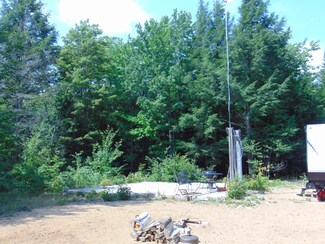 22805 Nelson Trail, McMillan Township, MI 49868