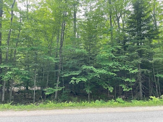 Parcel "A" W Smith Lake Rd, Manistique Township, MI 49854