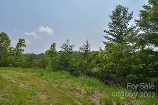 Lot 11 the Vines Blvd Unit Lot 11, Marshall, NC 28753