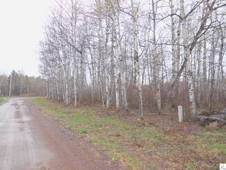 xxx Maple Ave, Moose Lake, MN 55767