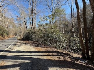 0 N Norton Rd Unit 1000262, Cashiers, NC 28717
