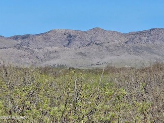 40 Acres E Carolyn Fraser Ln, Pearce, AZ 85625