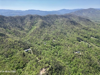 4.9 ACRES Critter Valley Way, Newport, TN 37821
