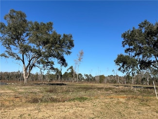 0 Creel Rd Unit 7531025, Theodore, AL 36582
