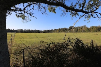 6514 Newton Hwy, Colquitt, GA 39837