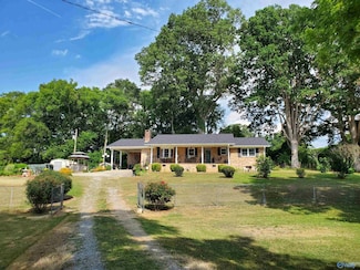 1156 County Road 206, Bridgeport, AL 35740