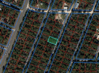 TBD NE 154 Terrace, Williston, FL 32696