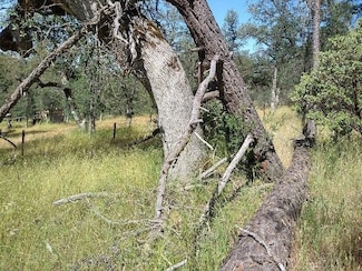 Lot 18 Philadelphia Rd, Twain Harte, CA 95383