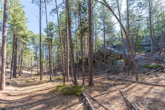 0 S 1st St, Custer, SD 57730