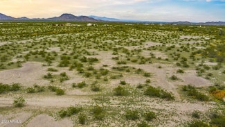 20500 W Butterfly Rd Unit 4, Rainbow Valley, AZ 85326