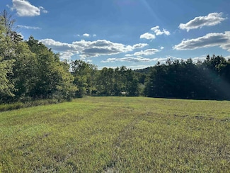 Lot 1 Ben Franklin St, Springdale, WI 53593