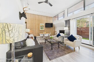 311 S Aspen St Unit 3, Aspen, CO 81611
