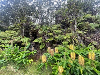 11-3825 Liona St, Volcano, HI 96785