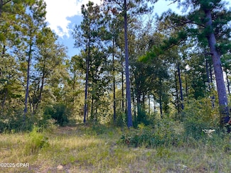 24 Fairview Rd, Marianna, FL 32448