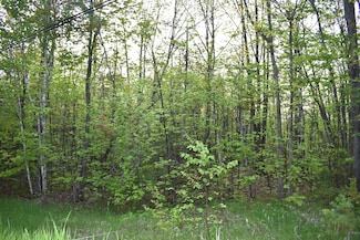 14236 Straitsview Dr, Cheboygan, MI 49721