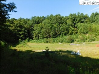 TBD Us Hwy 21 Hwy, Glade Valley, NC 28627
