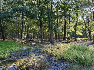 227 Lakewood Dr, Dingman Township, PA 18337