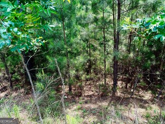 267 Garden St, Blairsville, GA 30512