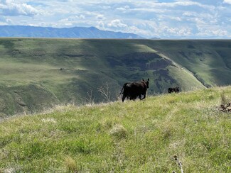 10016 Weissenfels Ridge Rd, Asotin, WA 99402