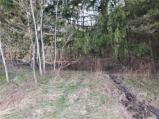 V/L Ellicottville-Maples Rd, Mansfield, NY 14731