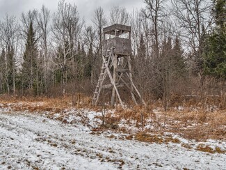 Off West Rd, Butternut, WI 54514