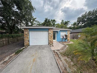 6204 Rolling Hammock Place, Tampa, FL 33610