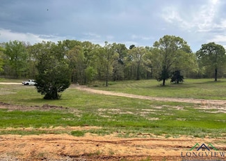 16706 Ridgeline Loop Unit Lot 96 Star Mountain, Winona, TX 75792
