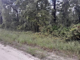 TBD NE 292nd Ave, Old Town, FL 32680