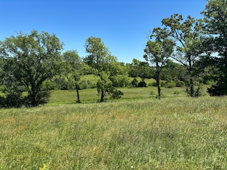 Tbd U S 160, Theodosia, MO 65761