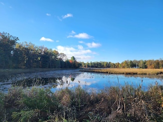 NHN Carpenter Rd, Hamilton Township, MI 48625