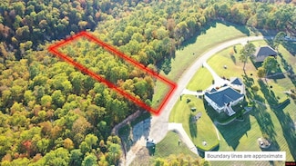 010-11219-046 Swiss Alps Ln, Briarcliff, AR 72653