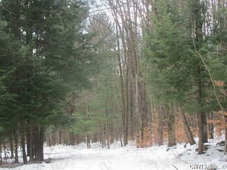 0 Nys Route 220 Unit S357752, Mc Donough, NY 13801