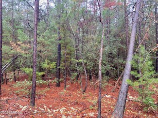 0 Hawk Ln Unit 173233, Roberta, GA 31078