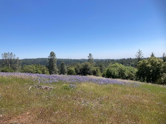 16688 Sonshine Ln, Sutter Creek, CA 95685