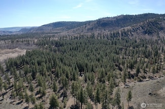 0 NHN Washington Creek Rd, Chelan, WA 98816